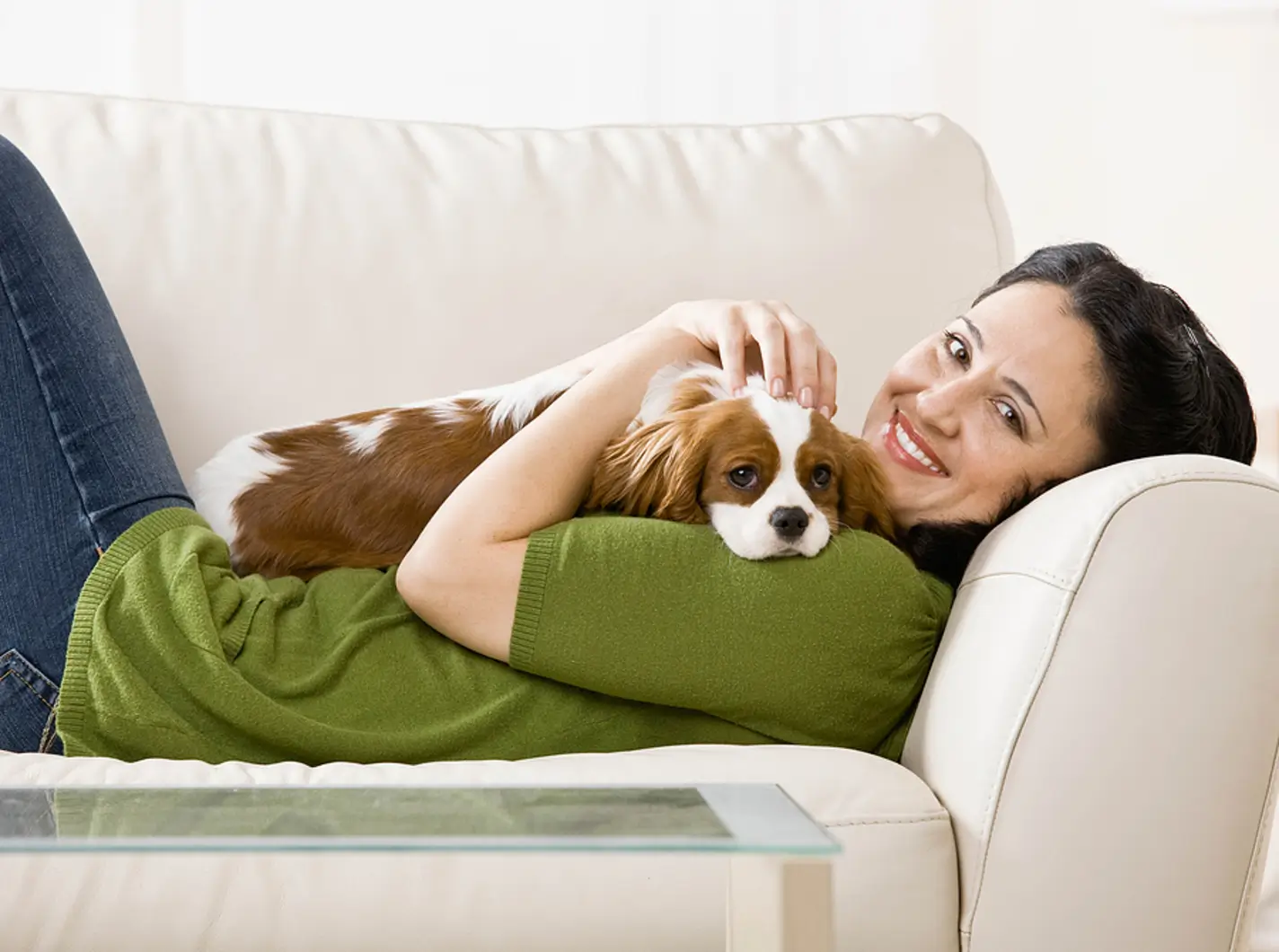 Pets, Policies, and Profits: A Landlord’s Guide to Pet-Friendly Leasing in Orem